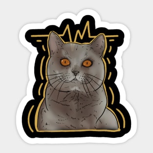 Shocked cat Sticker